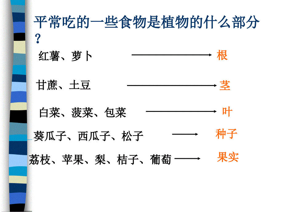 第3节常植物_第2页