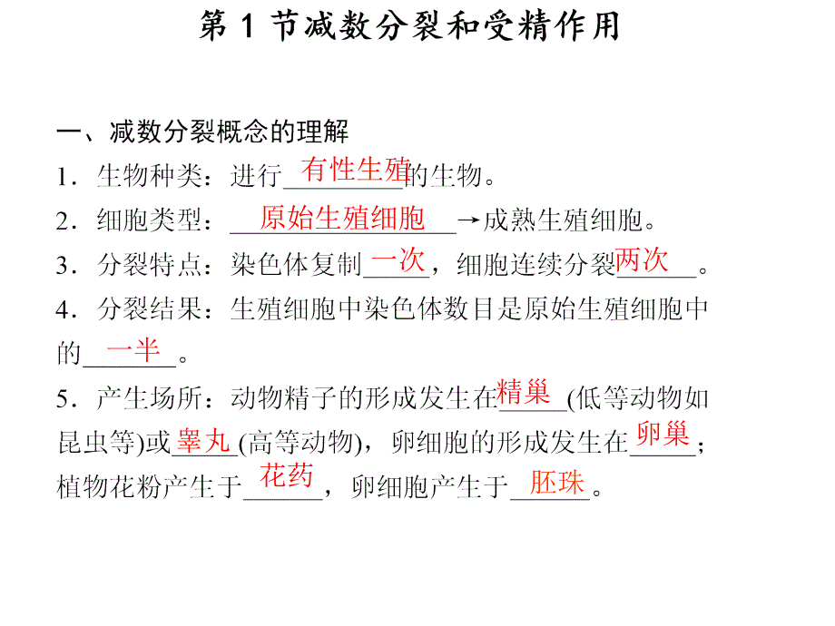 减数和受精作用_第1页