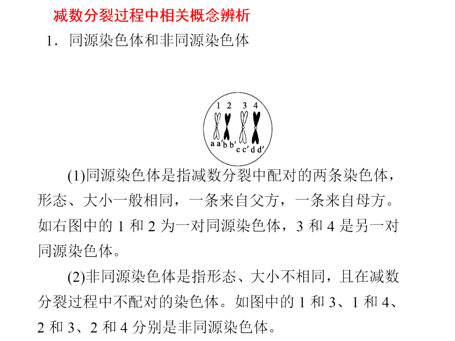 减数和受精作用_第3页