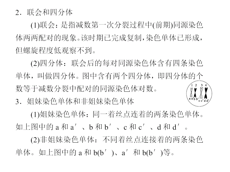 减数和受精作用_第4页