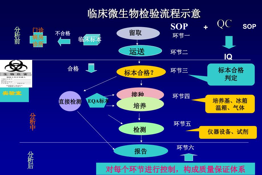 临床微生物标本处理及操作流程PPT文档资料_第2页