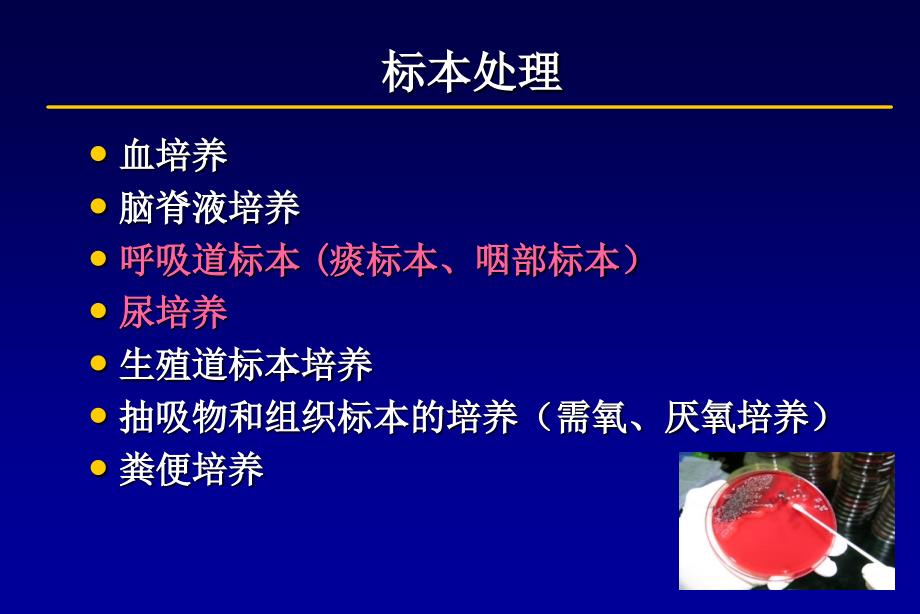 临床微生物标本处理及操作流程PPT文档资料_第4页