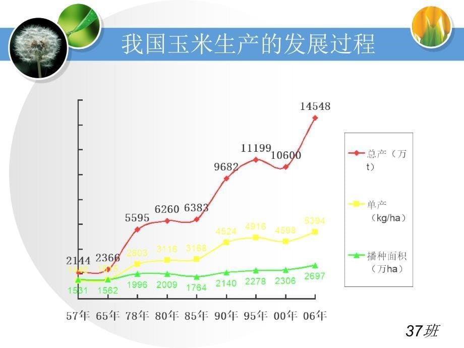 玉米生产技术课件_第5页