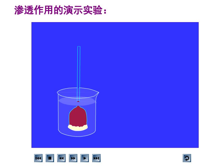 物质跨膜运输的实例_第3页