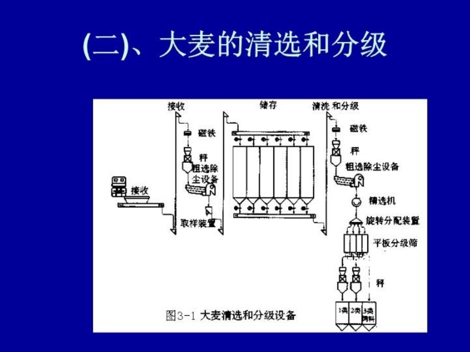 最新啤酒生产技术麦芽制备幻灯片_第4页