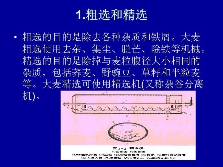 最新啤酒生产技术麦芽制备幻灯片_第5页