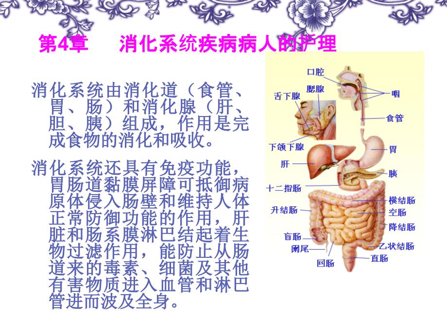 科学版内科护理学消化_第2页