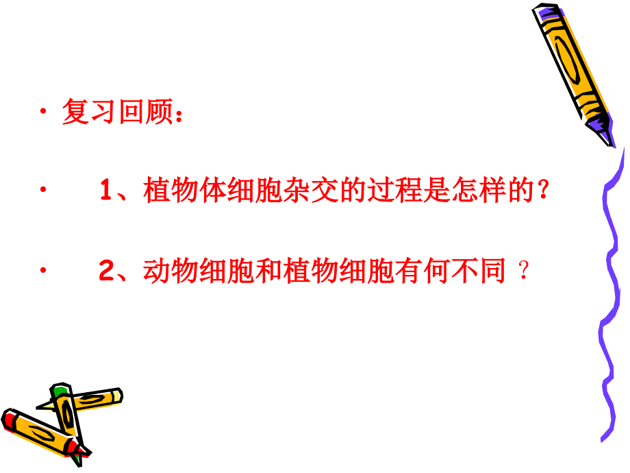 动物细胞融合与单克隆抗体-课件_第3页