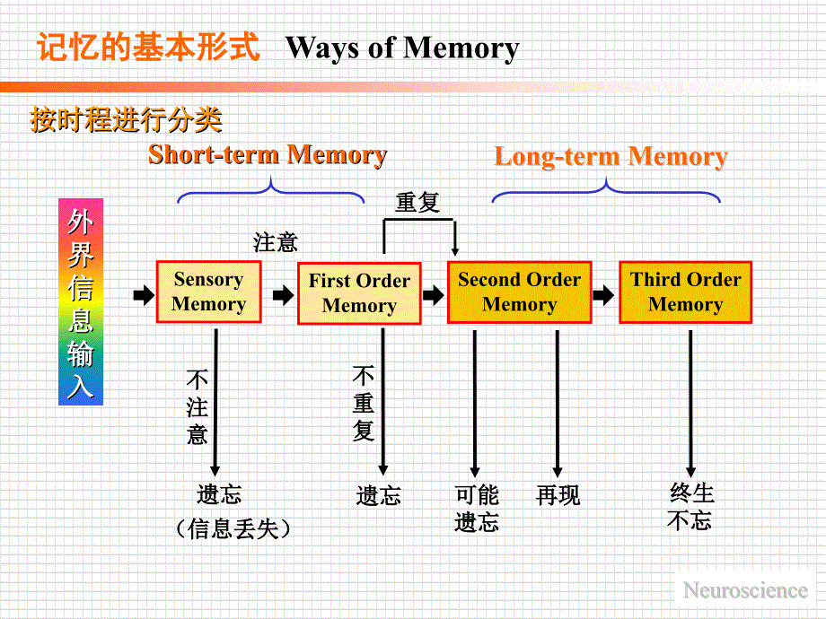 记忆的人脑机制_第3页