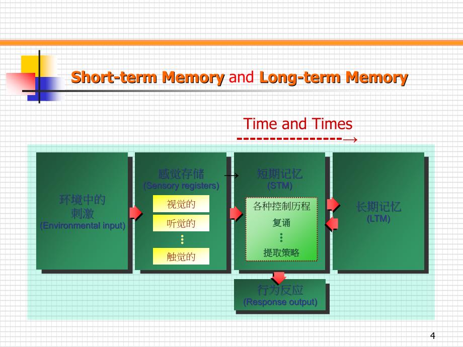 记忆的人脑机制_第4页