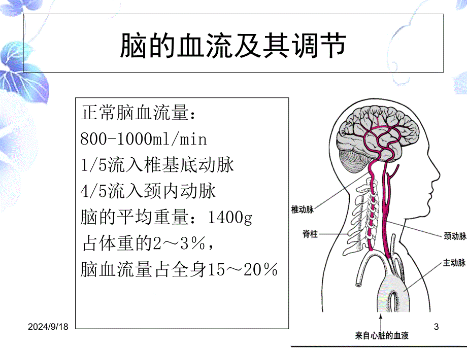 脑血管疾病病人的护理张蕊ppt课件_第3页