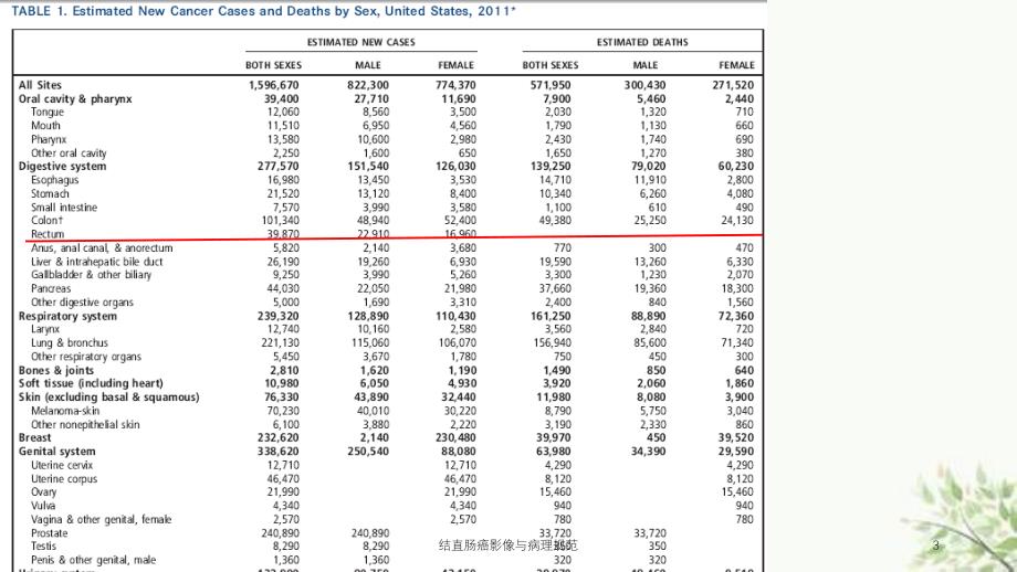 结直肠癌影像与病理规范课件_第3页