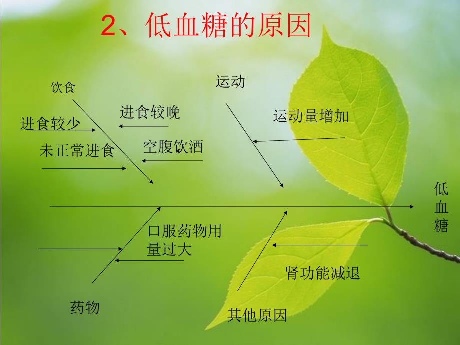 低血糖健康教育_第4页