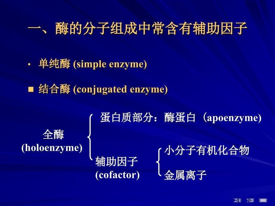 第03章生物酶_第5页