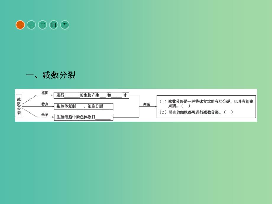 高中生物 第2章 基因和染色体的关系 第1节 减数分裂和受精作用课件 新人教版必修2.ppt_第4页