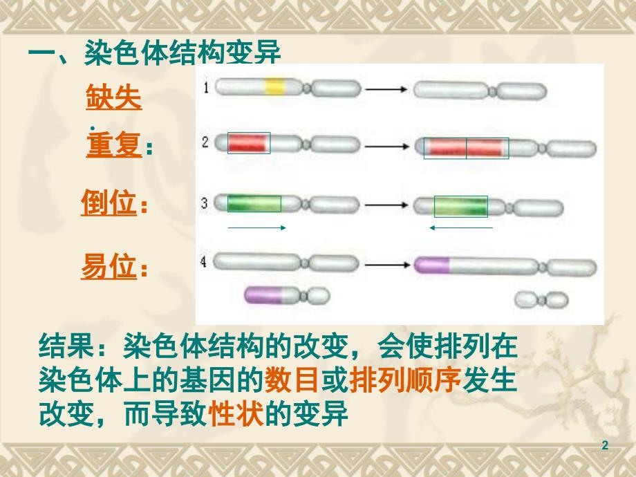 高中生物染色体变异的新人教版必修2.ppt_第2页