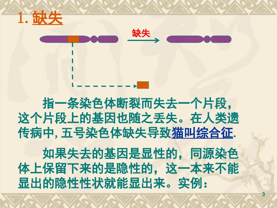 高中生物染色体变异的新人教版必修2.ppt_第3页