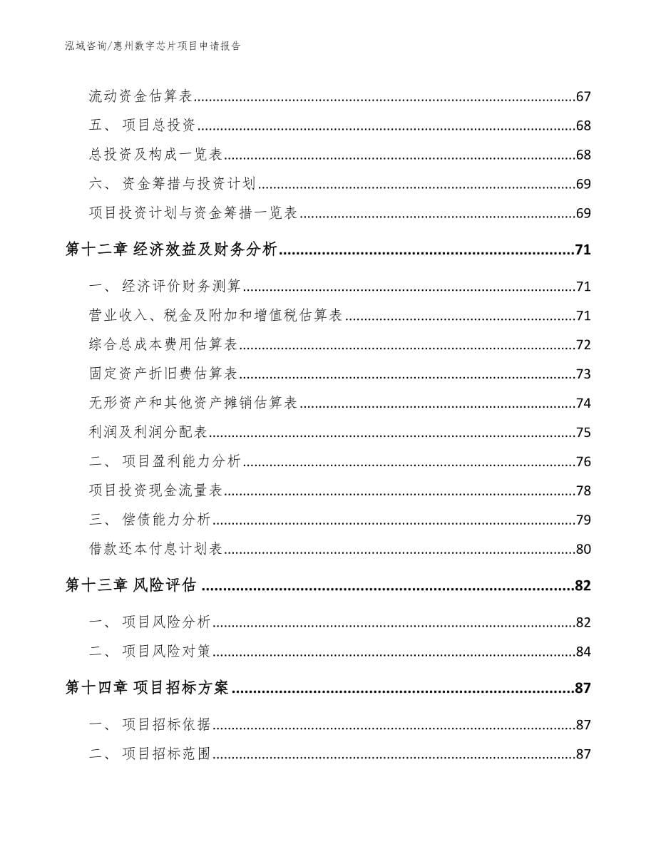 惠州数字芯片项目申请报告_模板范本_第5页