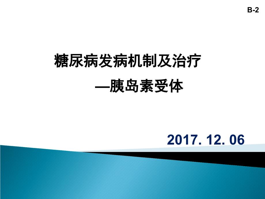 糖尿病发病机制和治疗_第1页