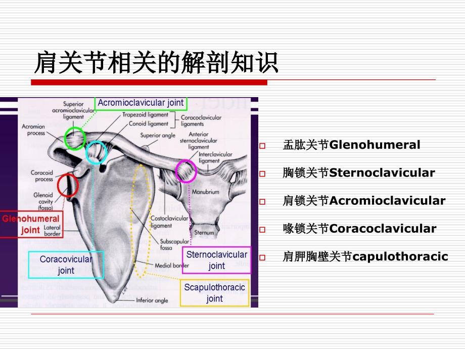 脑卒中后偏瘫肩痛的预防和治疗胡斌文档资料_第3页