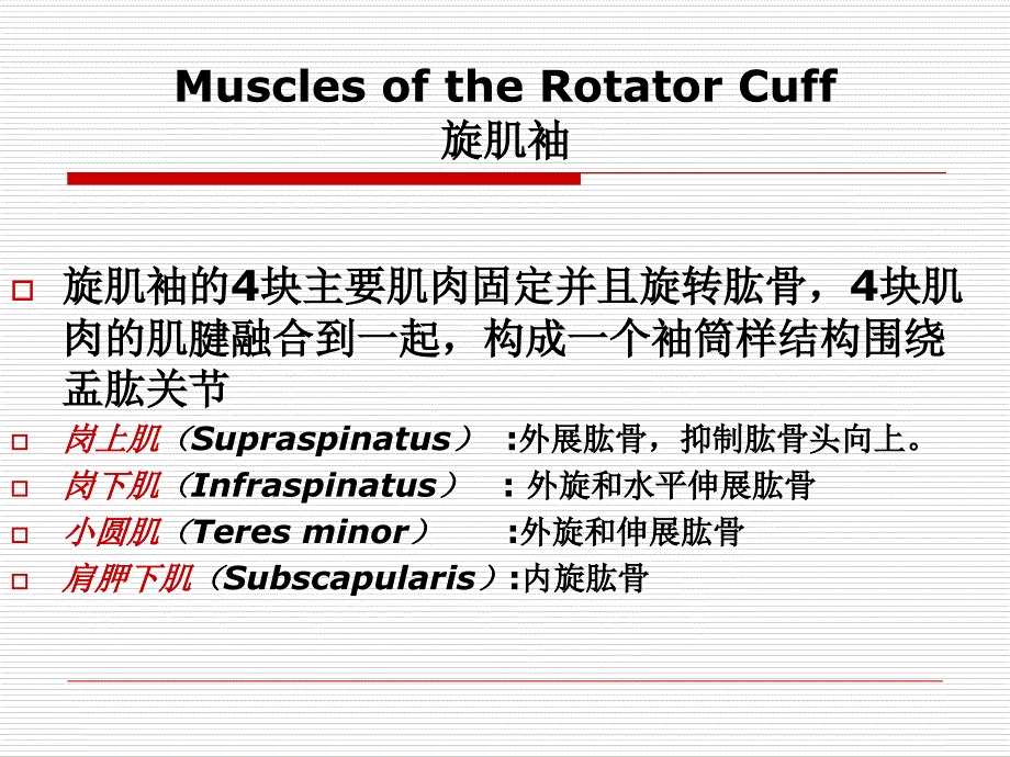 脑卒中后偏瘫肩痛的预防和治疗胡斌文档资料_第4页