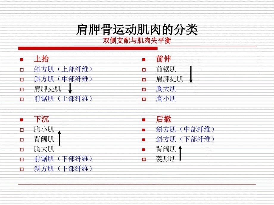 脑卒中后偏瘫肩痛的预防和治疗胡斌文档资料_第5页