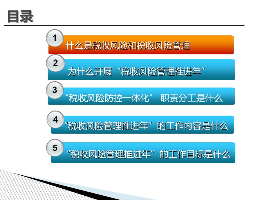 税收风险管理推进年活动宣讲辅导(42张)课件_第2页