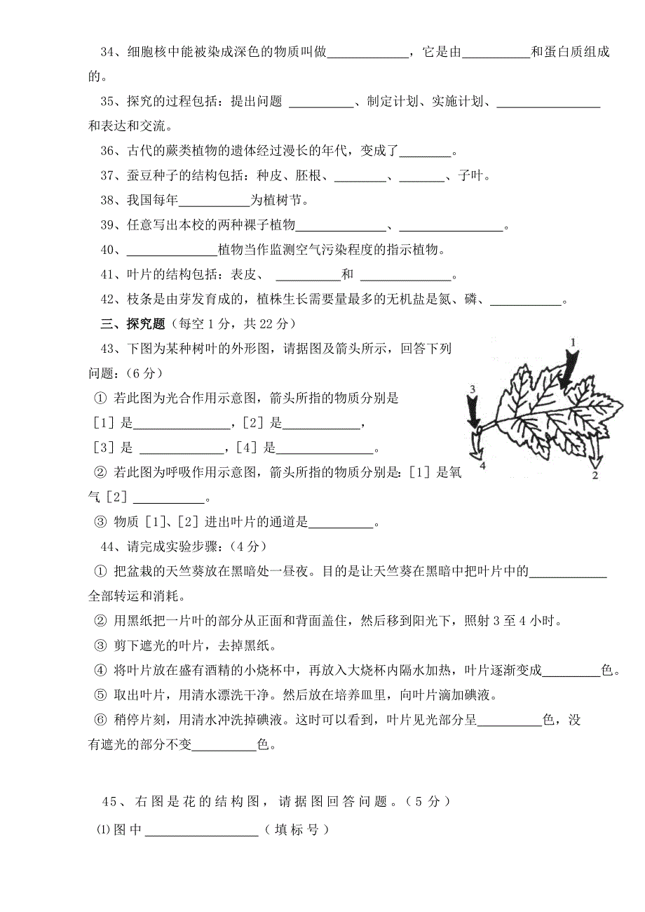 精选类七年级生物上学期期末考试试卷1人教新课标版_第3页