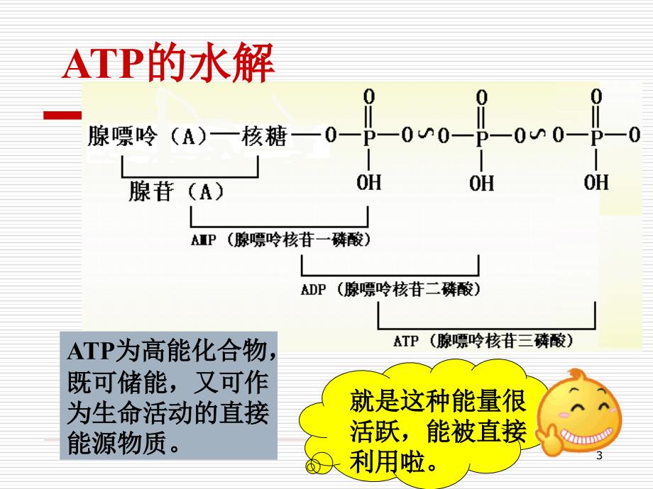 高一生物ATPppt课件_第3页