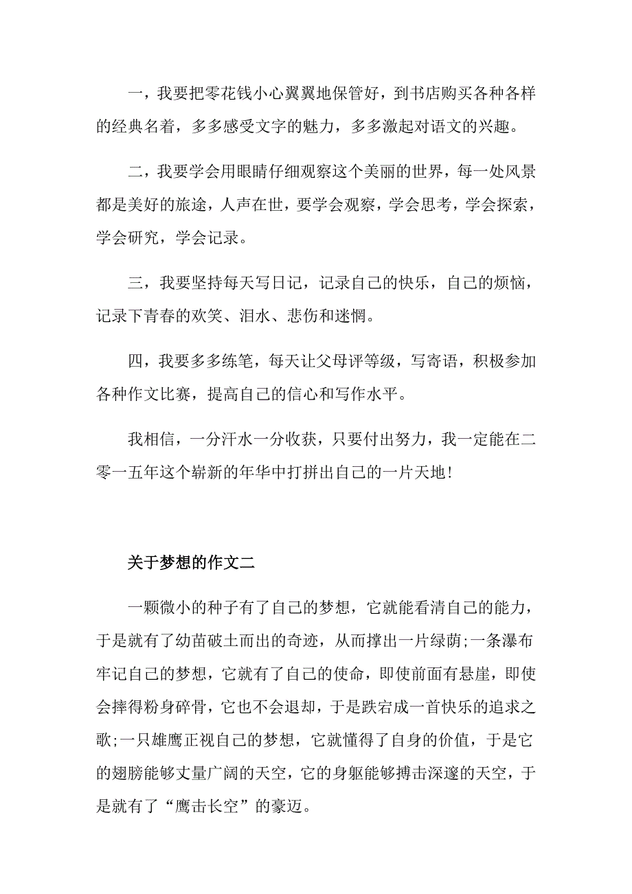 梦想作文700字议论文高二梦想作文五篇精选_第2页