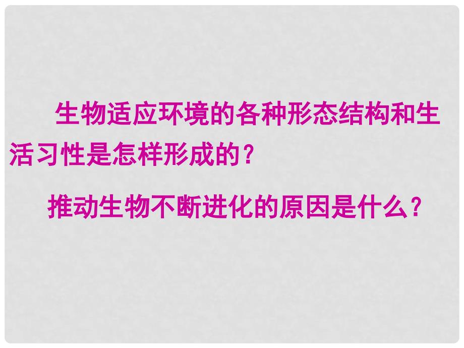 辽宁省辽河油田八年级生物下册 7.3.3 生物进化的原因课件 （新版）新人教版_第2页