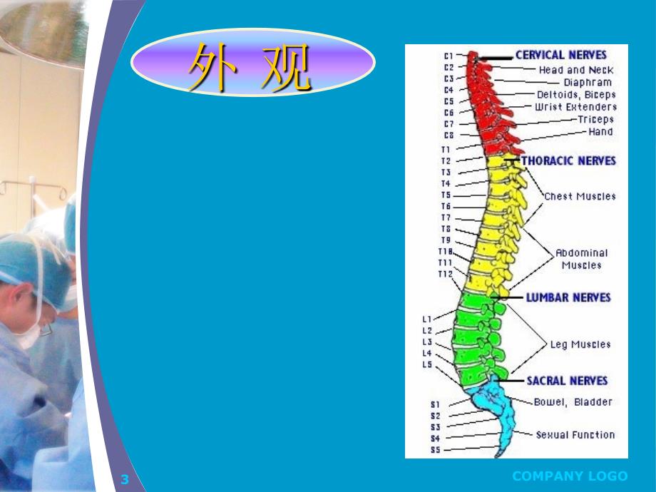 脊髓疾病ppt课件_第3页