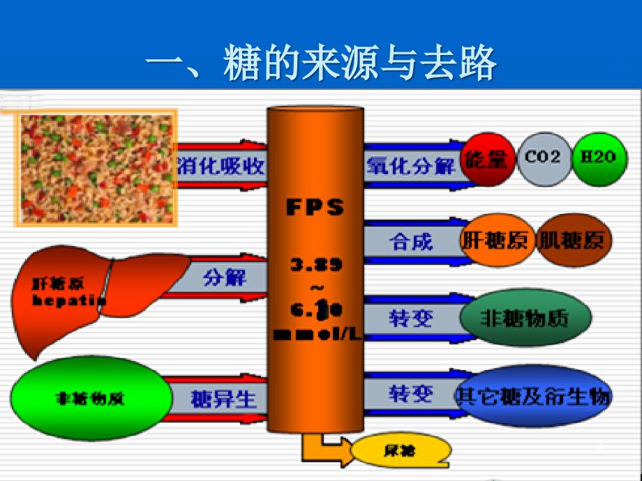 葡萄糖代谢紊乱ppt参考课件_第2页