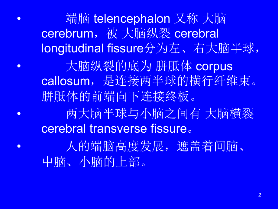 端脑局部解剖ppt课件_第2页