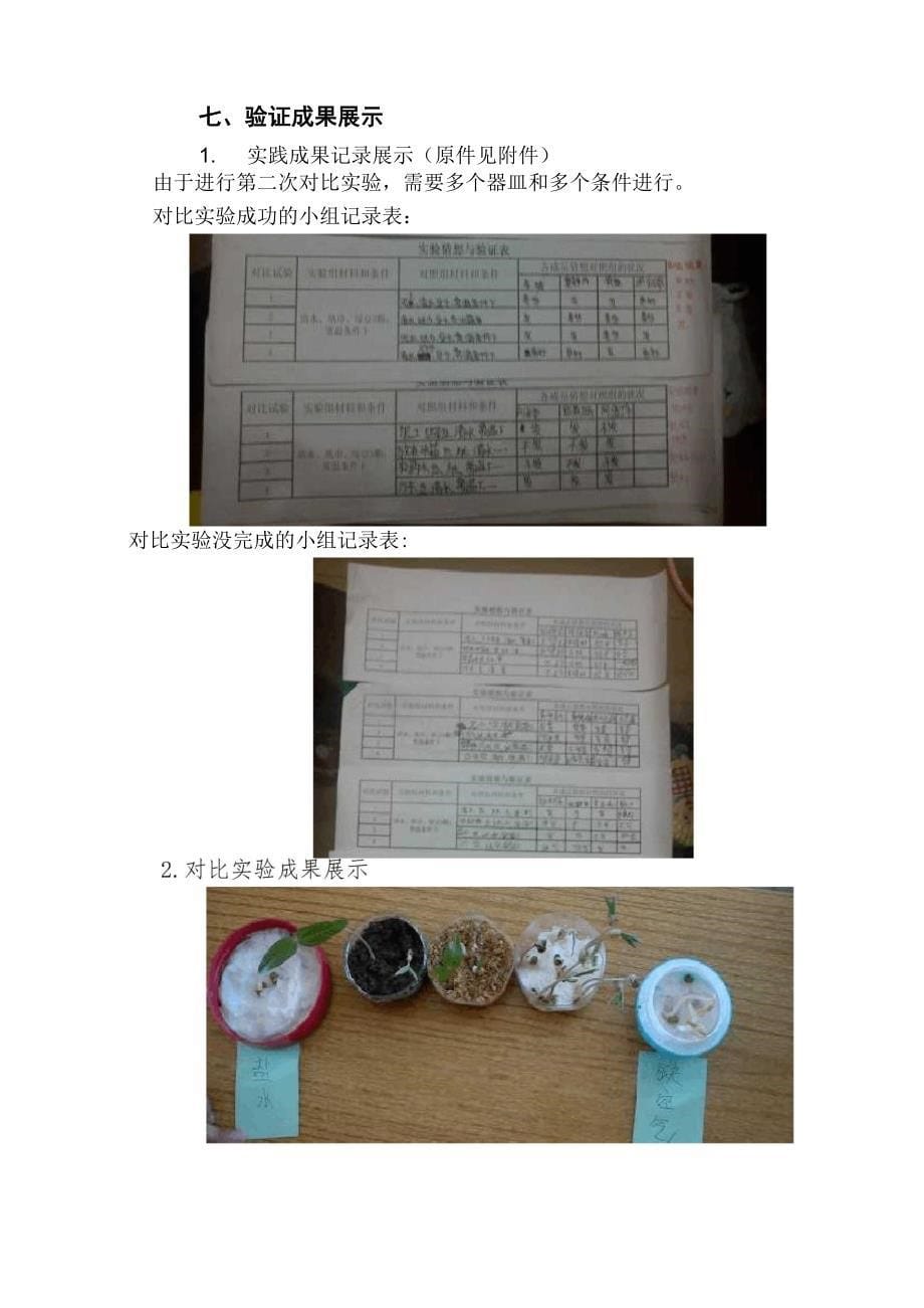 绿豆种子发芽对比实验_第5页