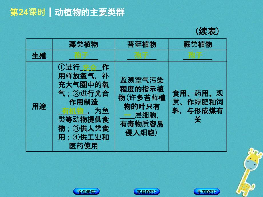 中考生物复习动植物的主要类群课件_第3页