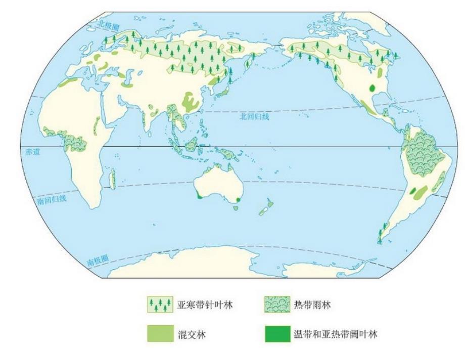 森林的开发和保护以亚马孙热带雨林为例ppt课件_第4页