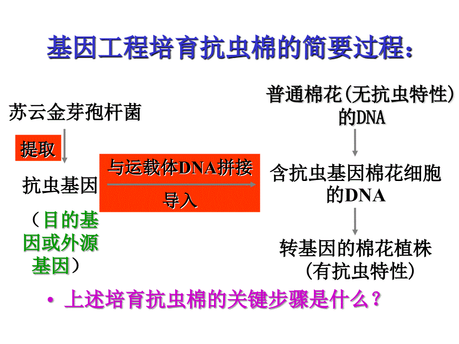 11基因工程的基本内容改版_第4页