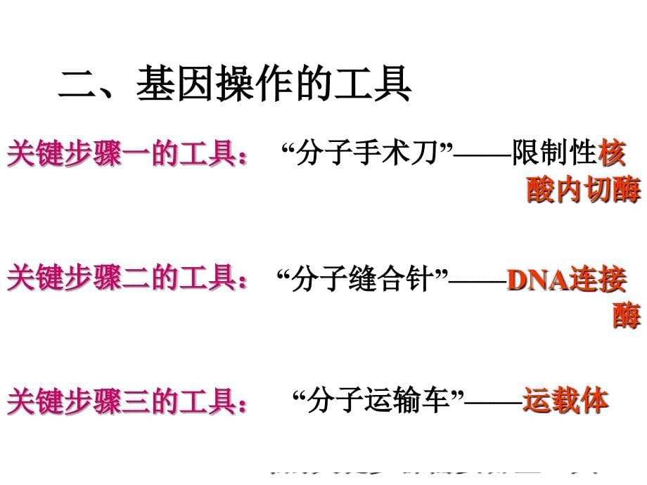 11基因工程的基本内容改版_第5页