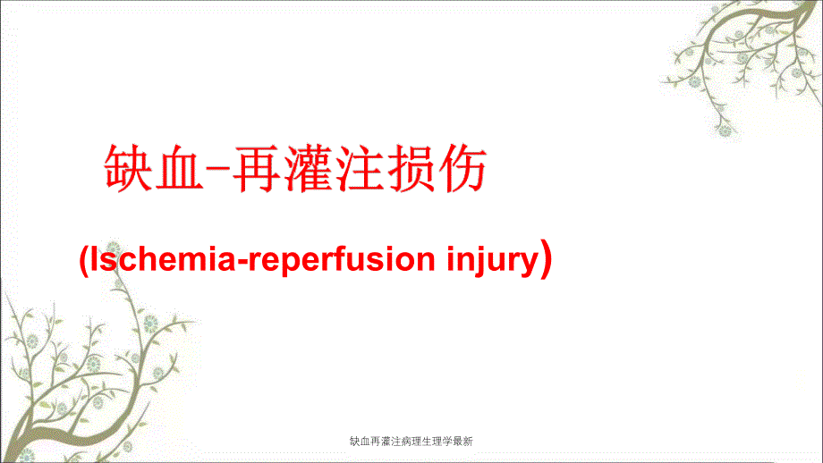 缺血再灌注病理生理学最新课件_第1页