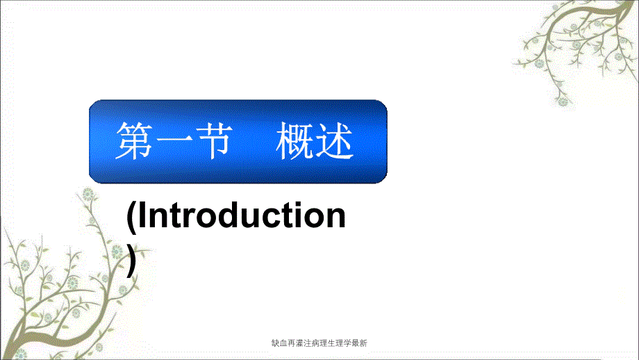 缺血再灌注病理生理学最新课件_第2页