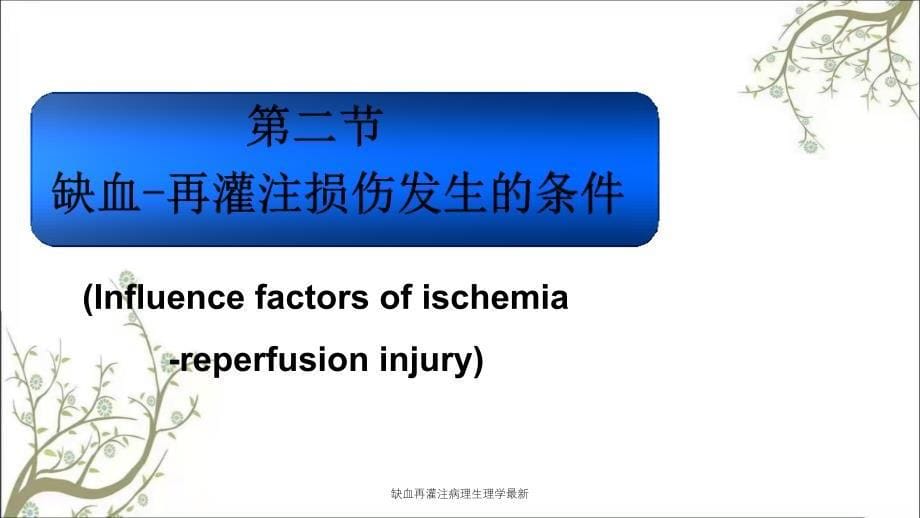 缺血再灌注病理生理学最新课件_第5页