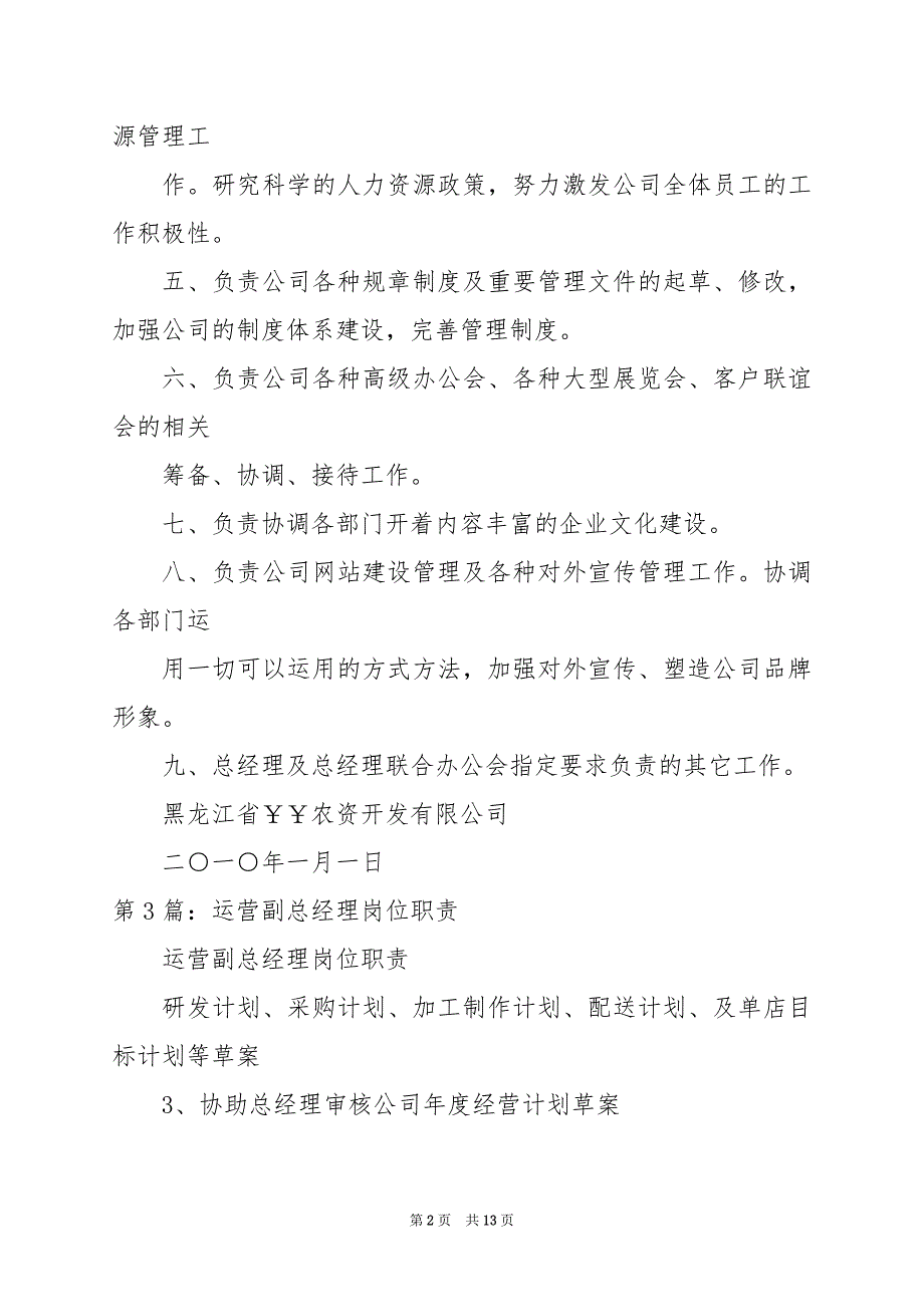 2024年企划运营副总经理岗位职责_第2页