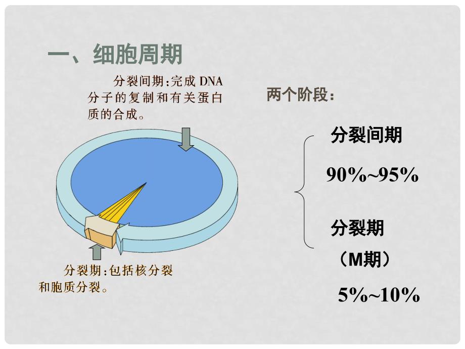 高一生物：6.1《 细胞增殖》课件（新人教必修1）_第4页