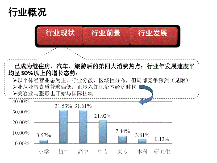 美容美体行业分析PPT课件_第2页