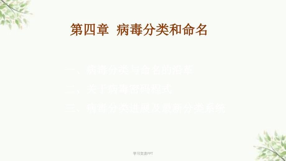 病毒的分类与命名课件_第5页