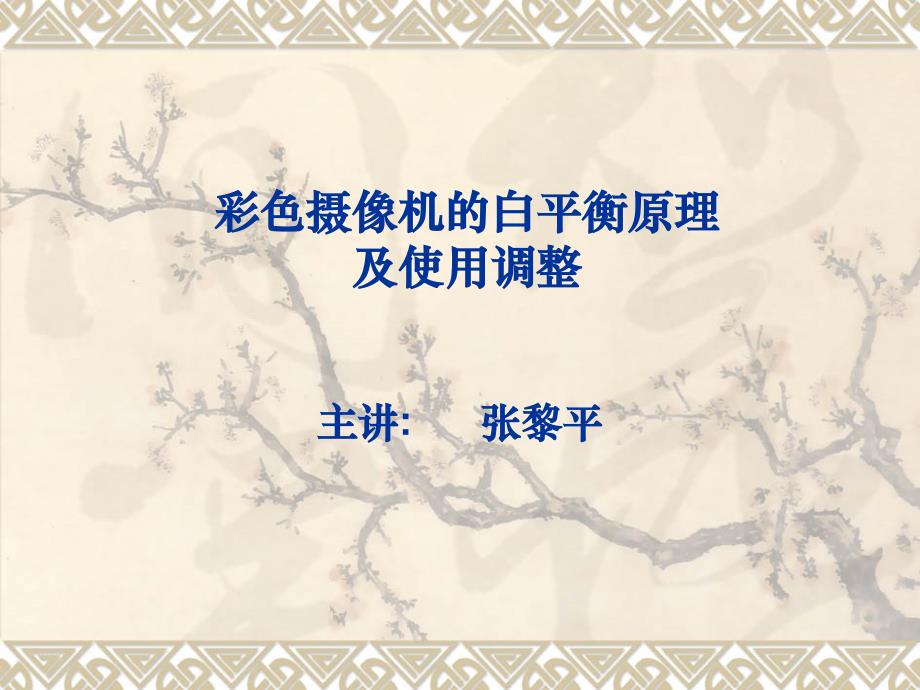 彩色摄像机的白平衡及使用调整_第1页