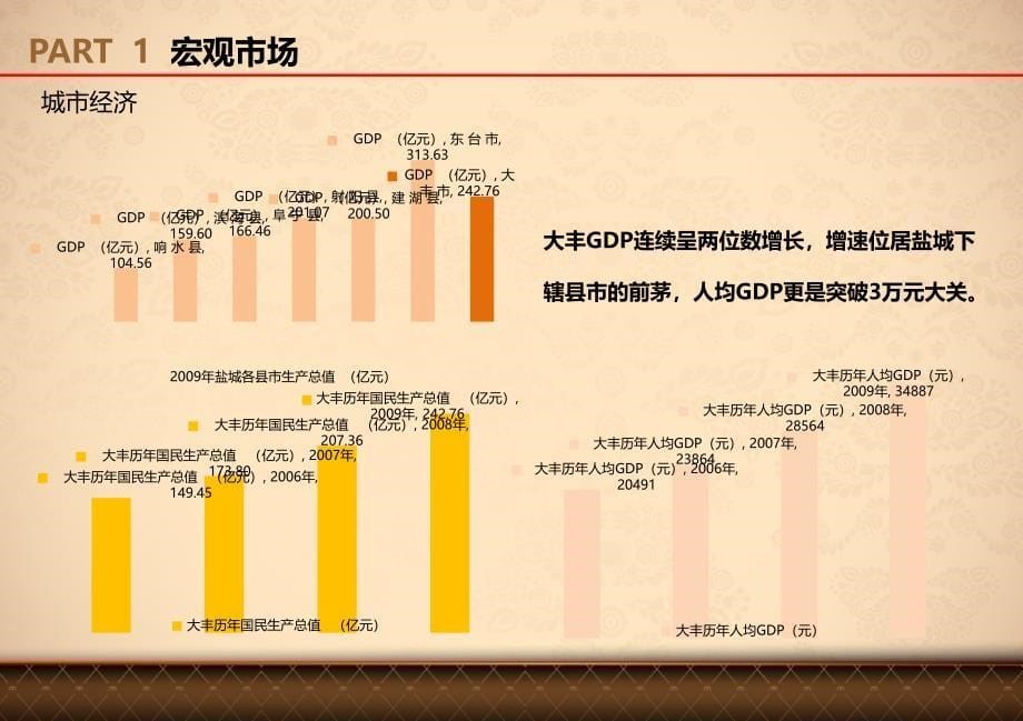 江苏盐城大丰城东新区项目市场定位报告68p_第5页