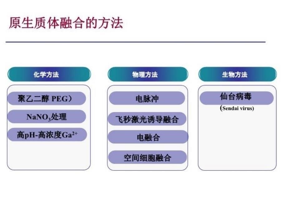 最新原生质体融合ppt课件_第5页