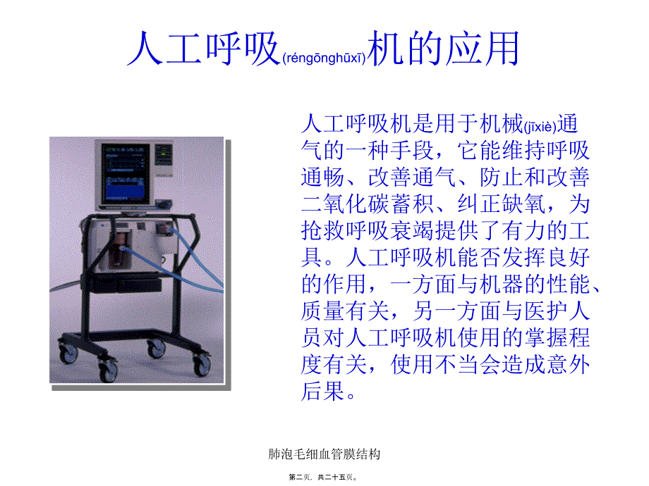 肺泡毛细血管膜结构课件_第2页